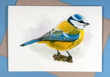 Blue Tit Greetings Cards (5 pack)