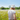 woman with bucket hat in a sunny meadow