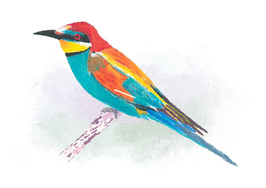 Bee Eater Greetings Card