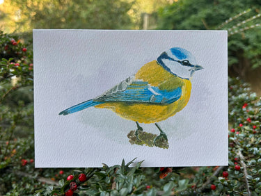 Blue Tit Greetings Card