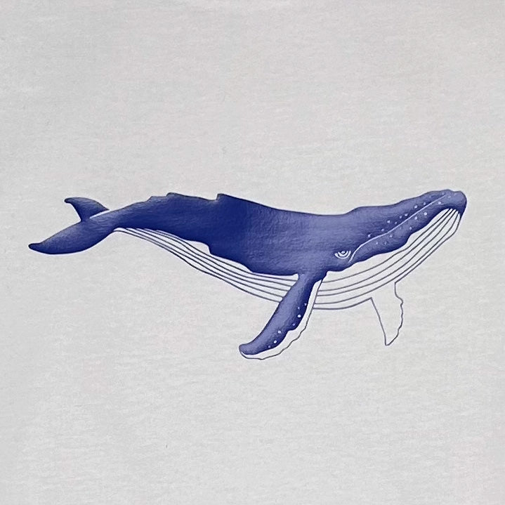 Whale T-Shirt Off-White