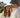 Woman and man wearing bucket hats (white & graphite)