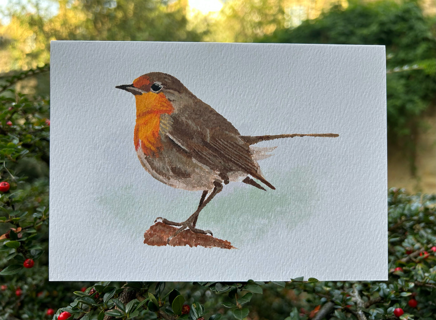 Robin Greetings Card